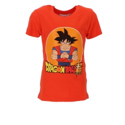 Koszulka T-shirt Dragon Ball rozmiar 122